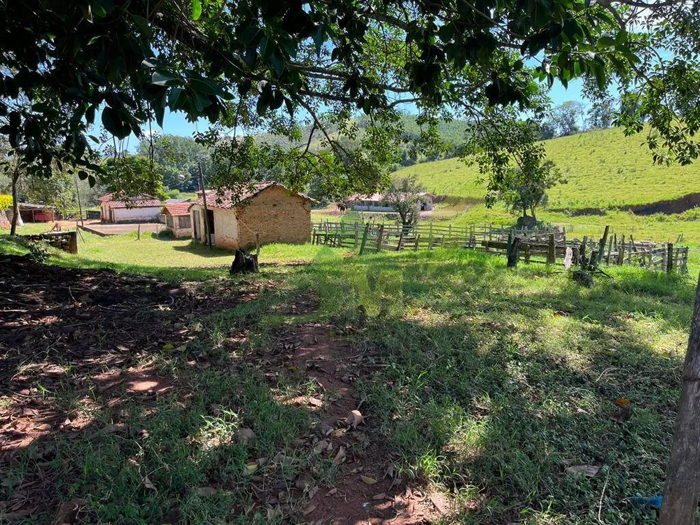 Sítio, 3 quartos, 6 hectares - Foto 7