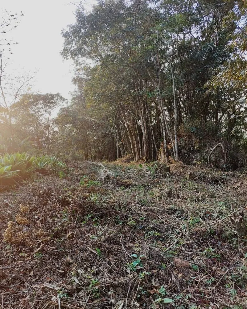Terreno - Foto 8