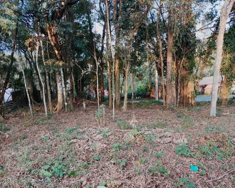 Terreno - Foto 3