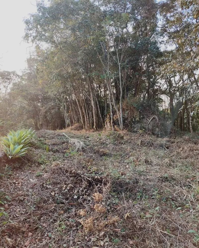 Terreno - Foto 7