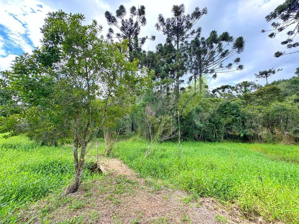 Sítio, 6 quartos, 5 hectares - Foto 4