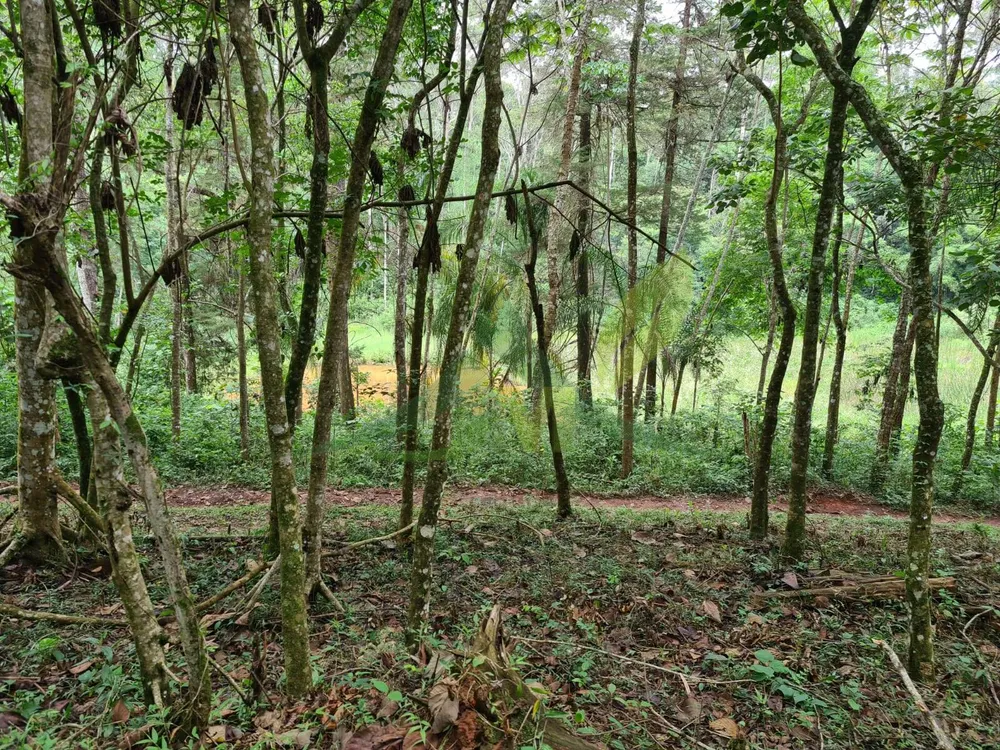 Sítio, 5 quartos, 39 hectares - Foto 10