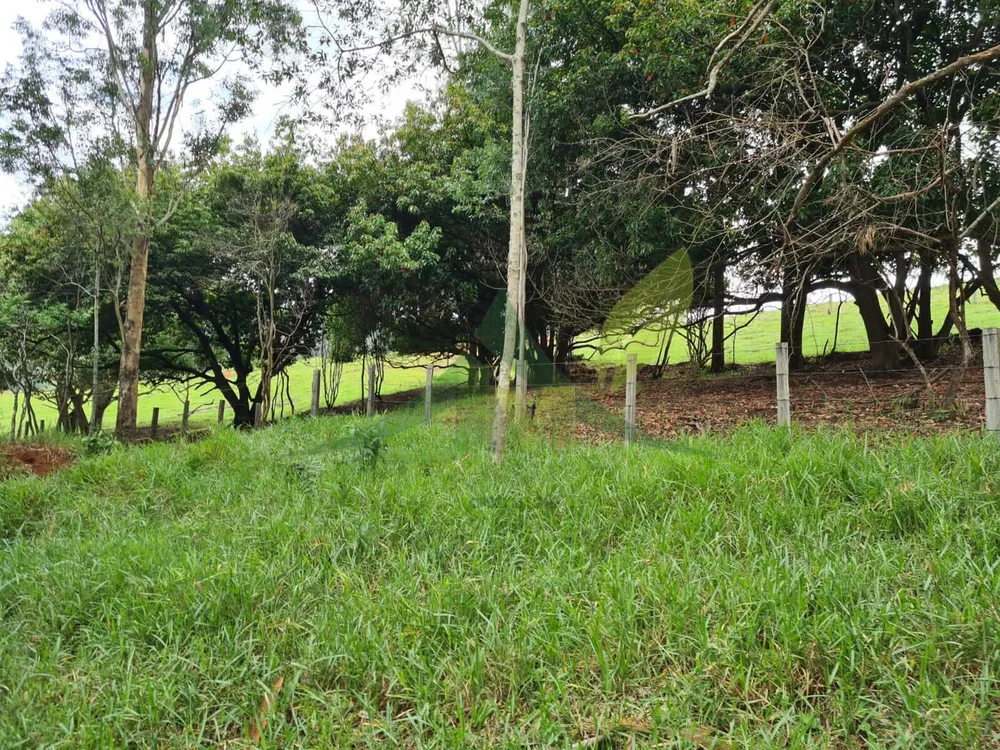 Sítio, 5 quartos, 39 hectares - Foto 6