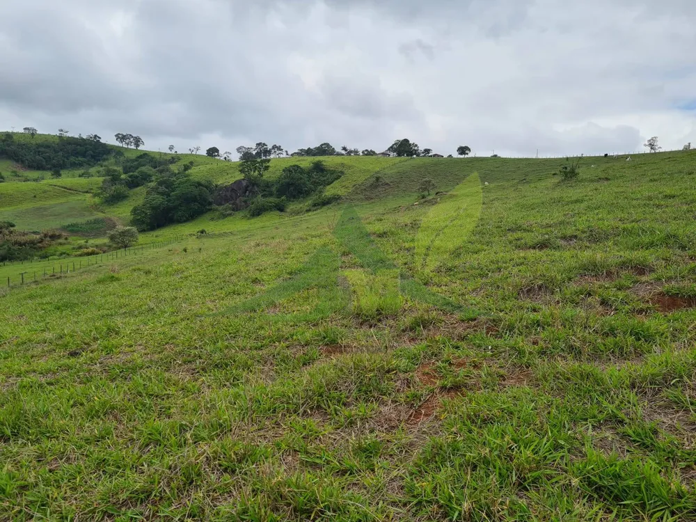 Sítio, 5 quartos, 39 hectares - Foto 11