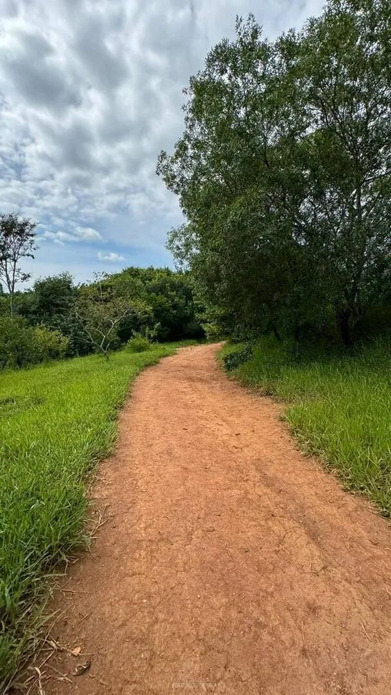 Depósito-Galpão - Foto 4
