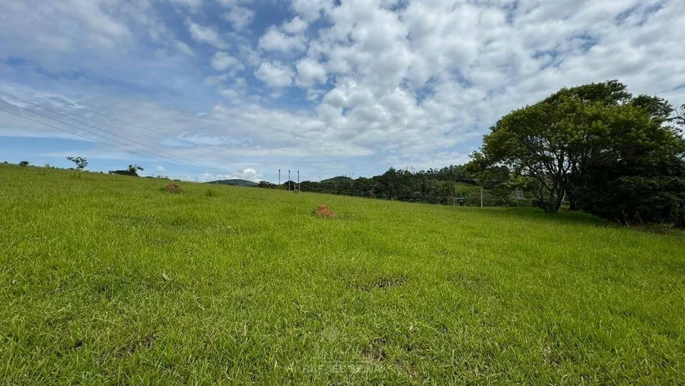 Depósito-Galpão - Foto 8