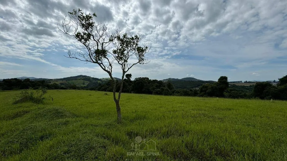 Depósito-Galpão - Foto 6