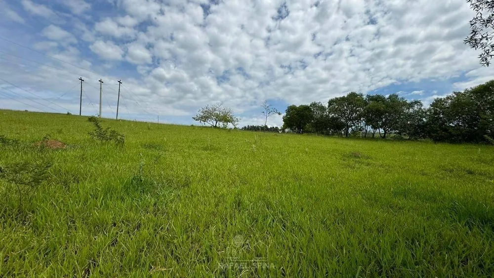 Depósito-Galpão - Foto 7