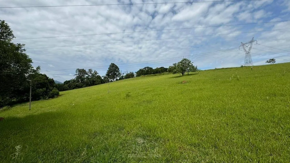 Depósito-Galpão - Foto 1