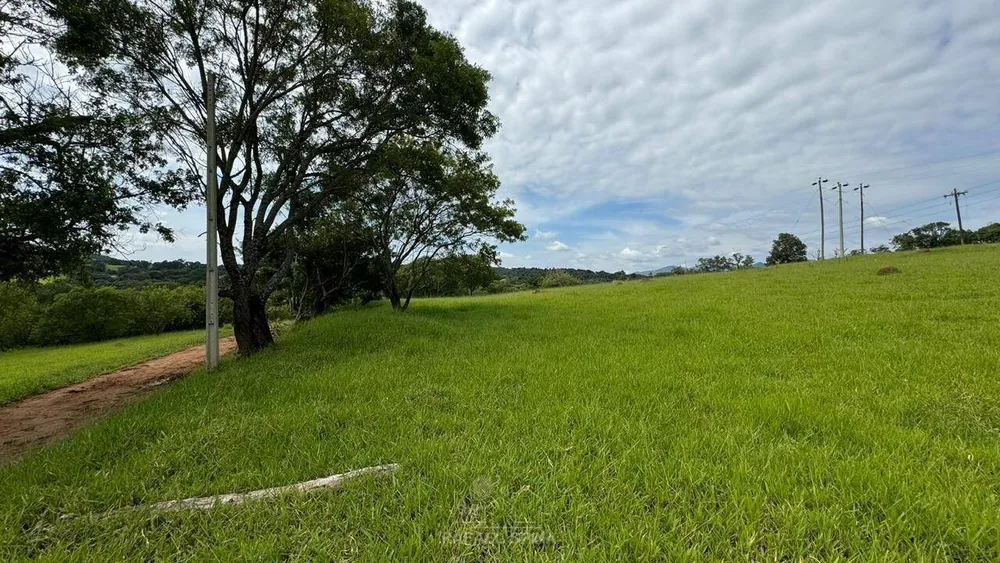 Depósito-Galpão - Foto 12