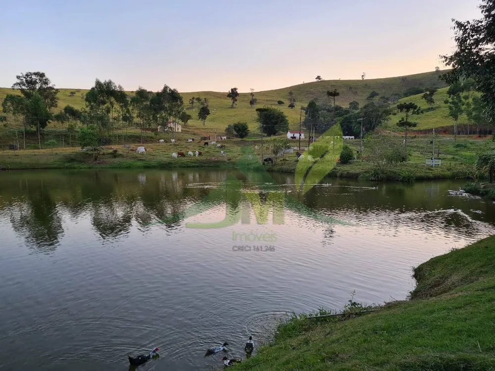 Sítio, 4 quartos, 75 hectares - Foto 3