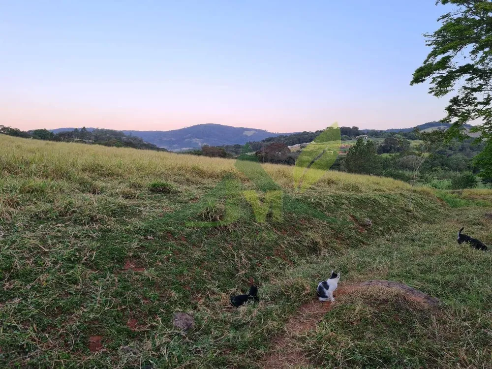 Sítio, 4 quartos, 75 hectares - Foto 7