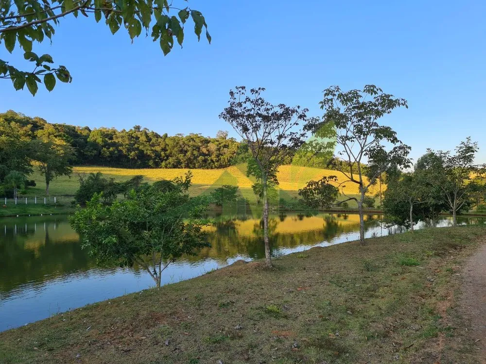 Sítio, 4 quartos, 75 hectares - Foto 1