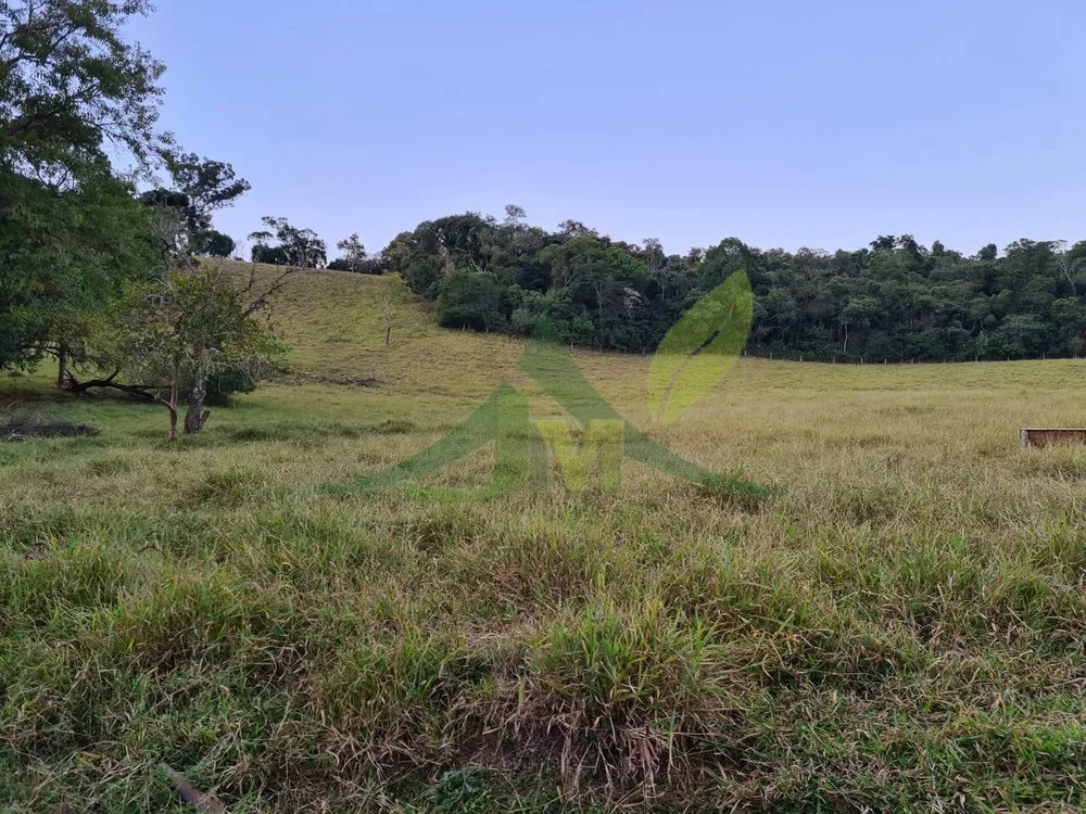 Sítio, 4 quartos, 75 hectares - Foto 12