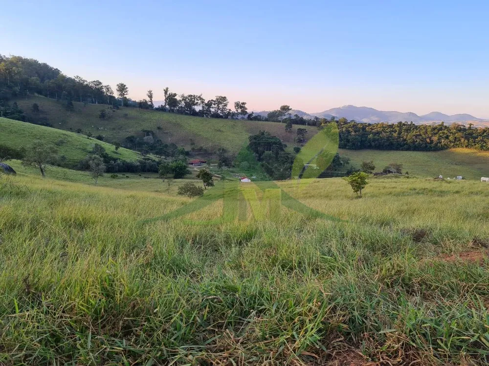 Sítio, 4 quartos, 75 hectares - Foto 6