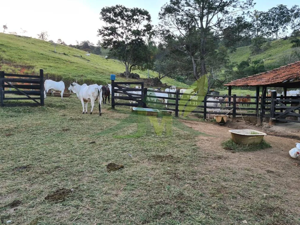 Sítio, 4 quartos, 75 hectares - Foto 10