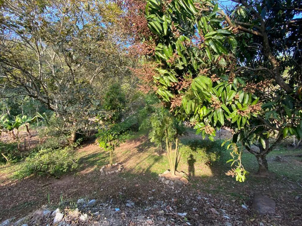 Chácara, 5 quartos, 4000 m² - Foto 3