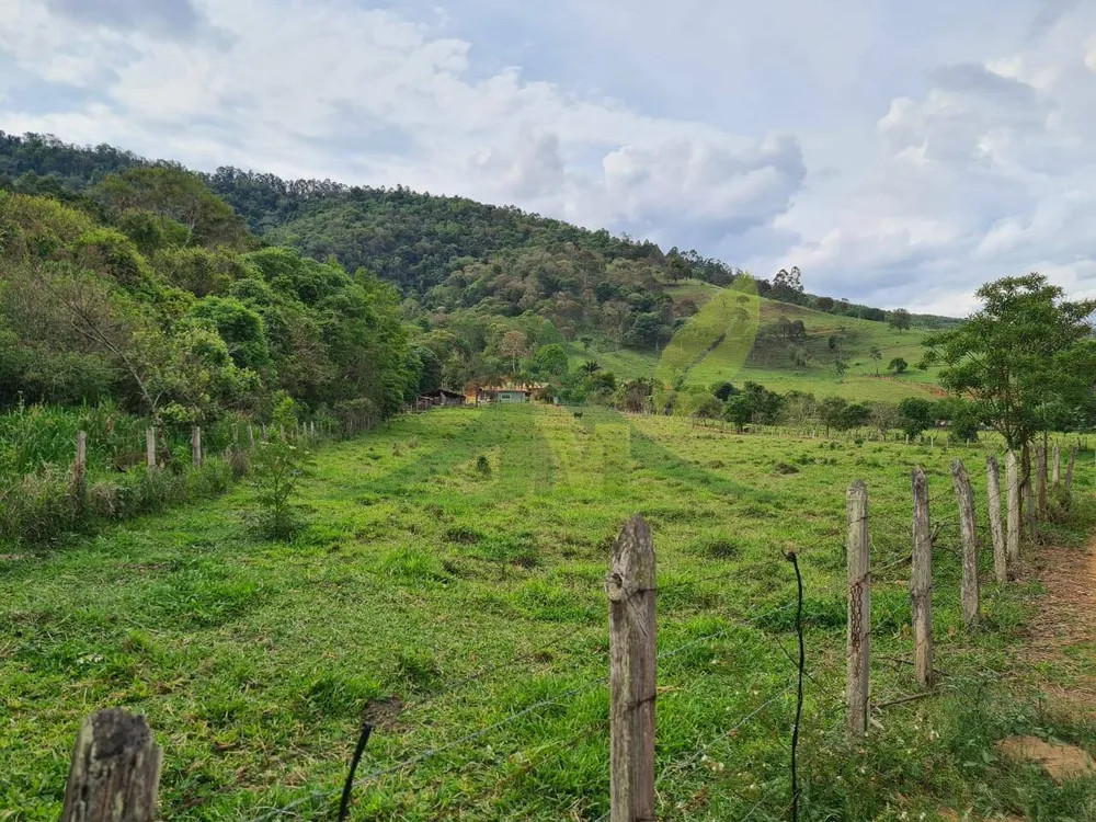 Sítio, 4 quartos, 3 hectares - Foto 12