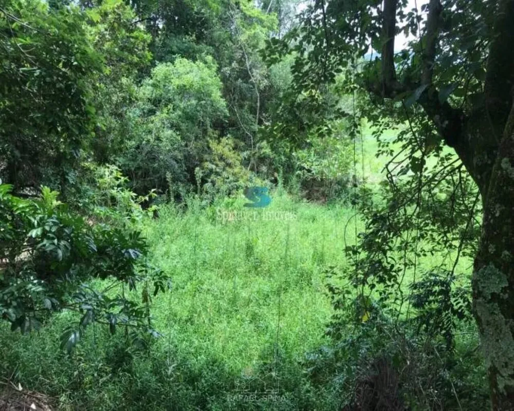 Terreno - Foto 3