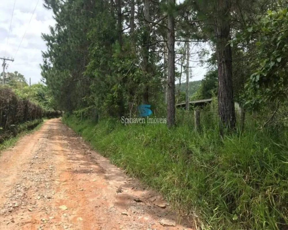 Terreno - Foto 1