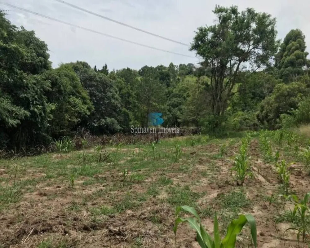 Terreno - Foto 4