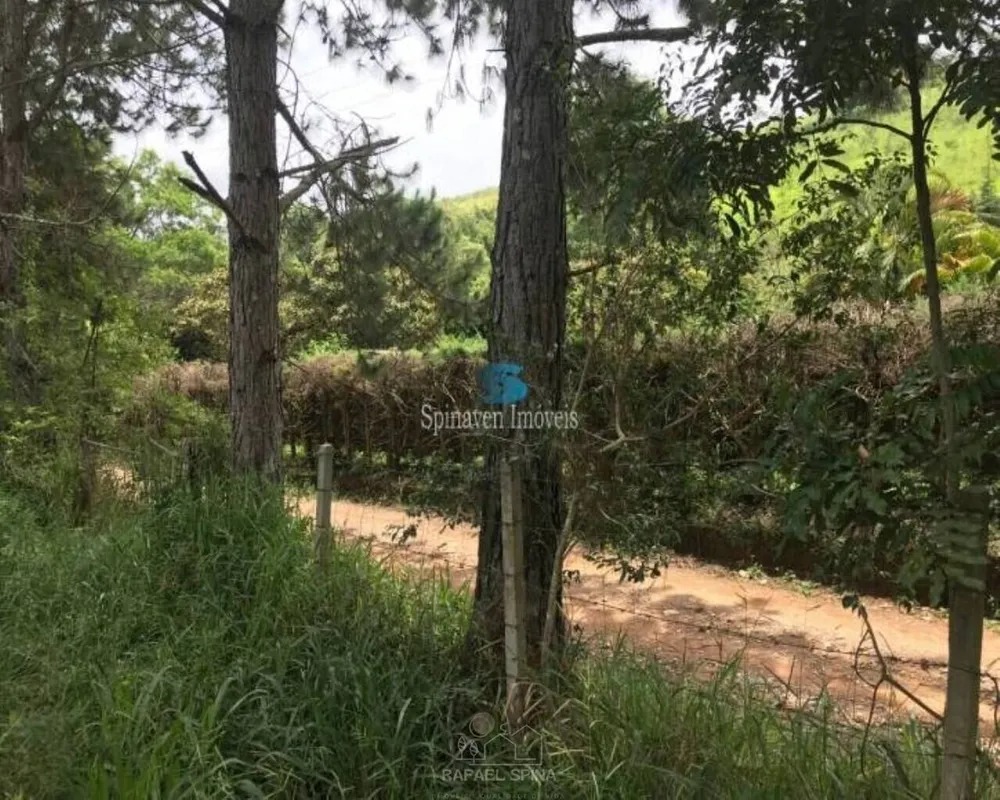 Terreno - Foto 2
