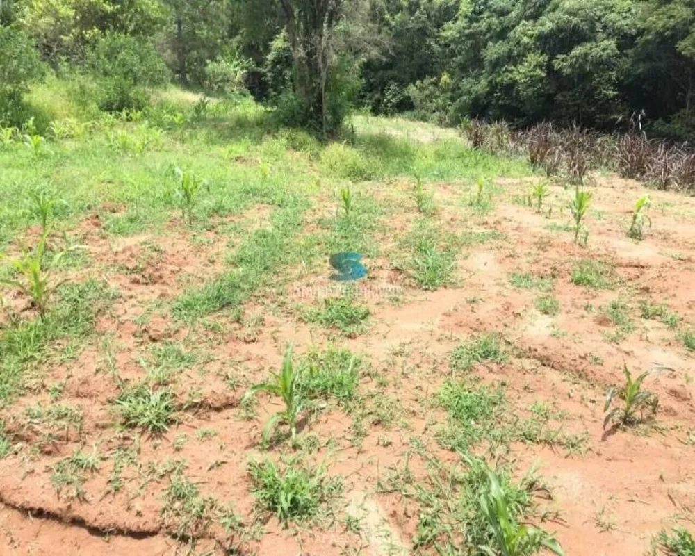 Terreno - Foto 6