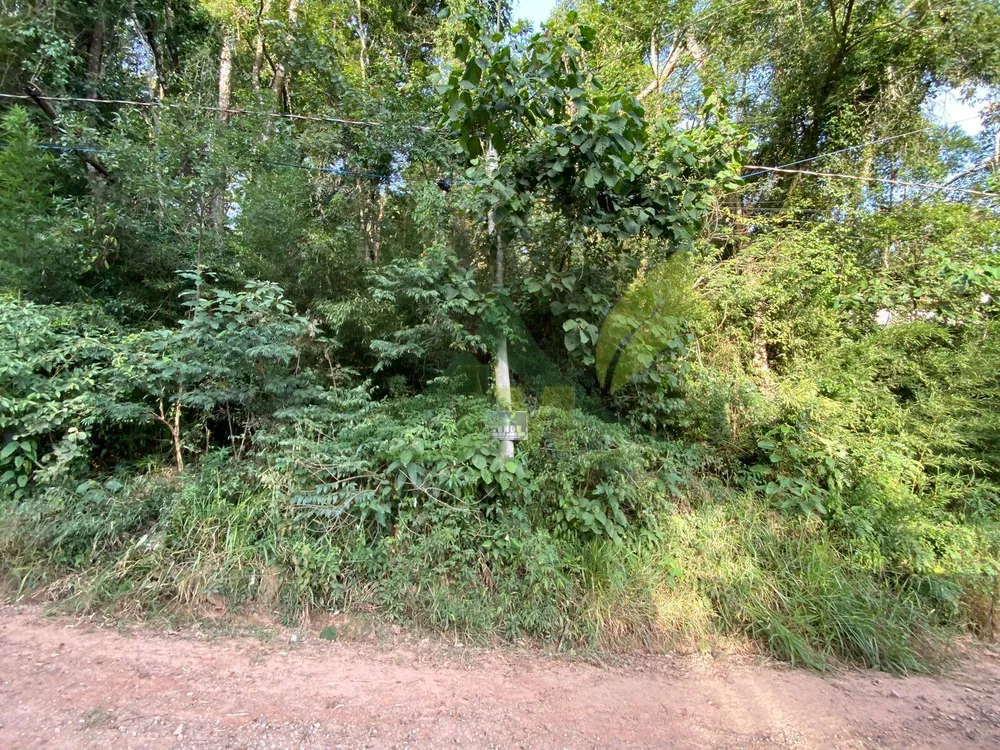 Terreno, 700 m² - Foto 5