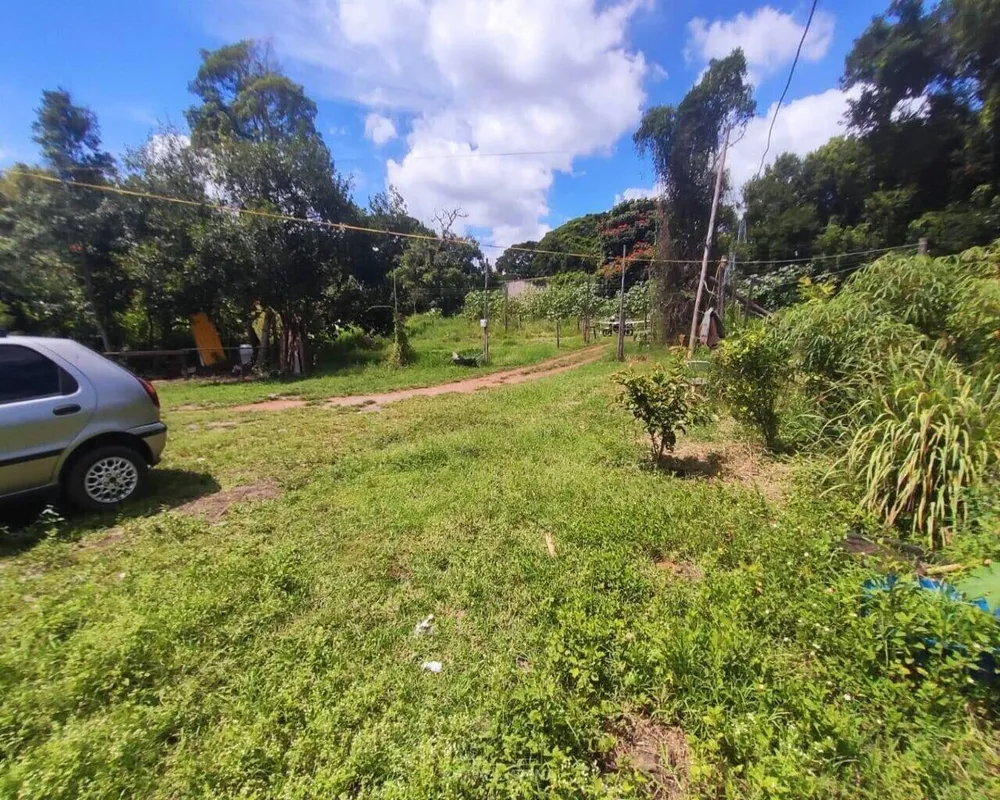 Terreno - Foto 4