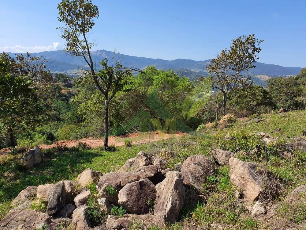 Terreno, 2 hectares - Foto 4