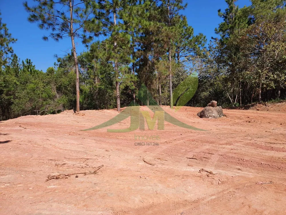 Terreno, 2 hectares - Foto 2