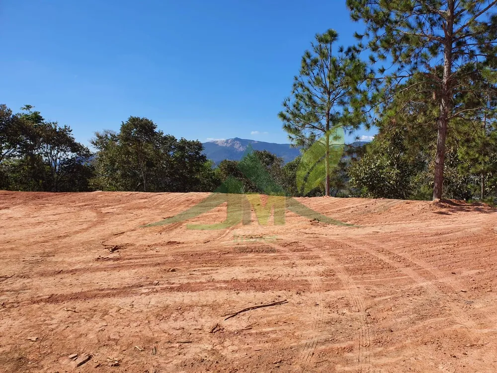 Terreno, 2 hectares - Foto 8