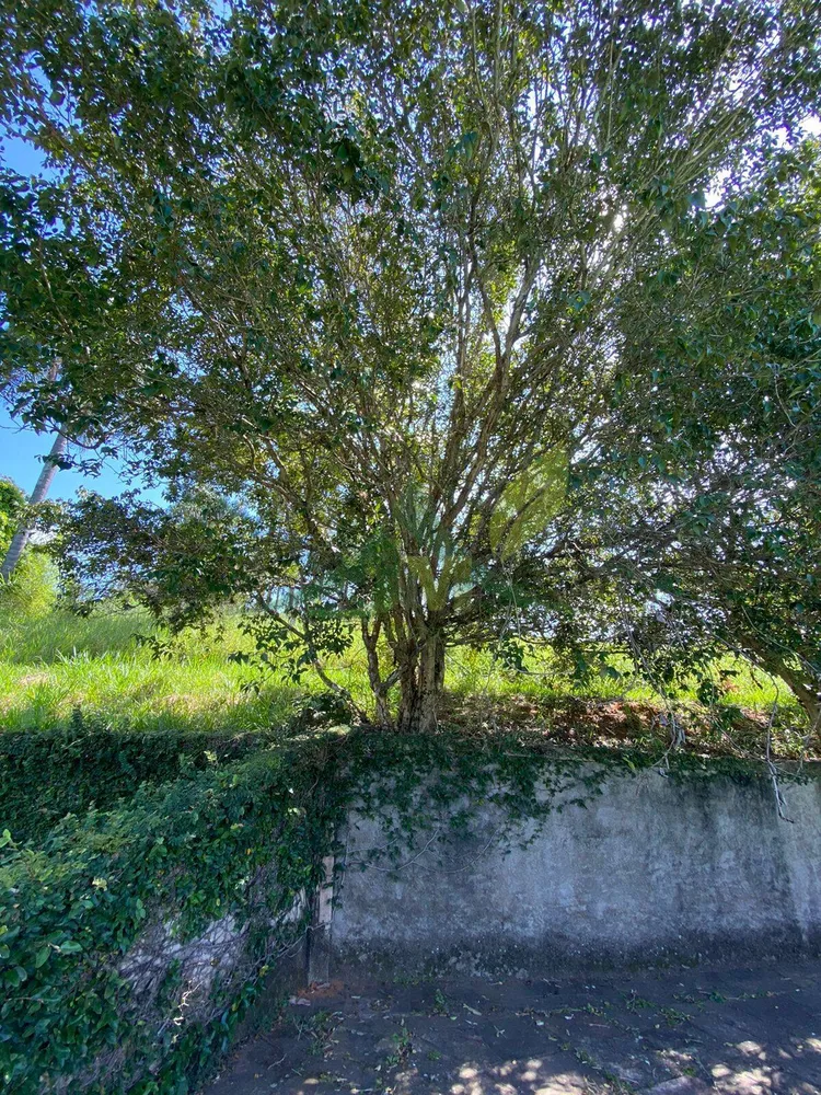Sítio, 5 quartos, 3 hectares - Foto 14