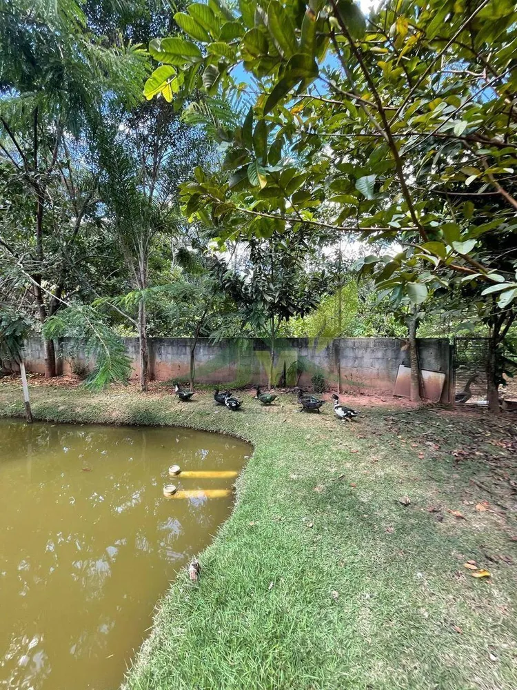 Chácara, 5 quartos, 1 hectares - Foto 8