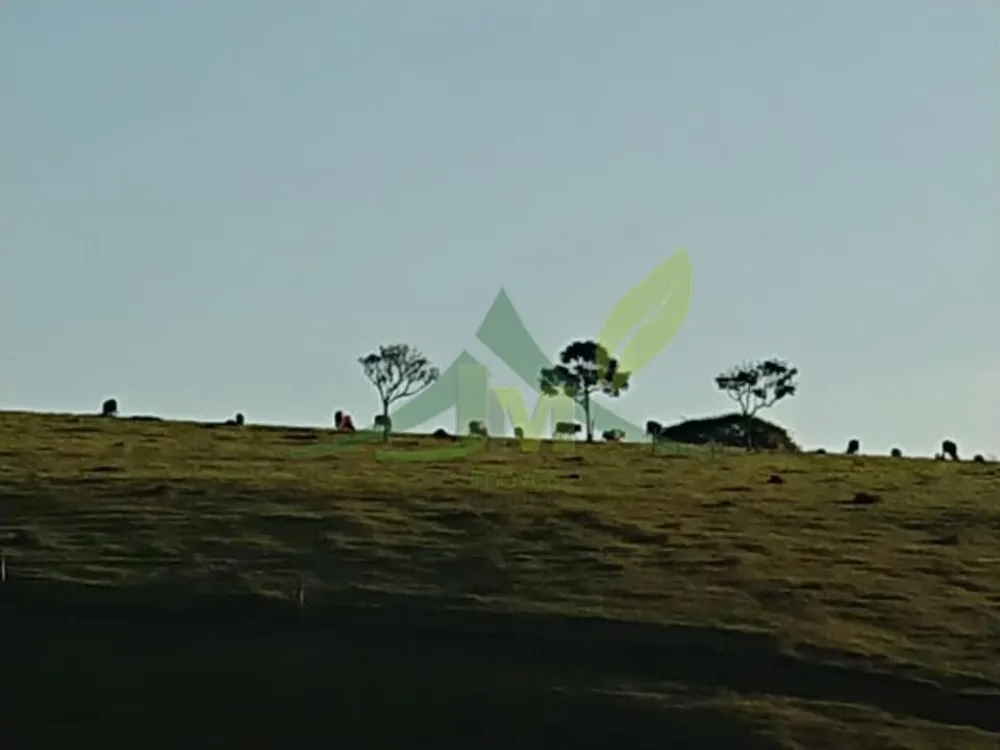 Fazenda, 157 hectares - Foto 8