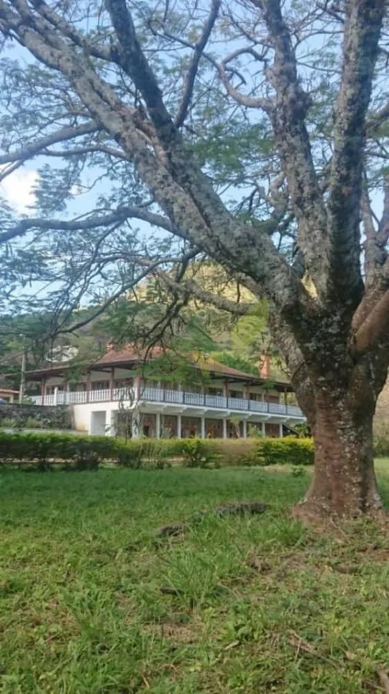 Fazenda, 157 hectares - Foto 7