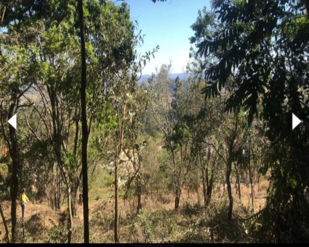 Terreno - Foto 2