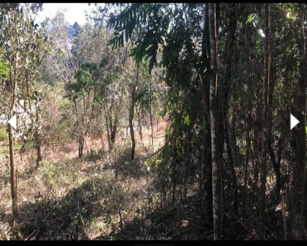 Terreno - Foto 4