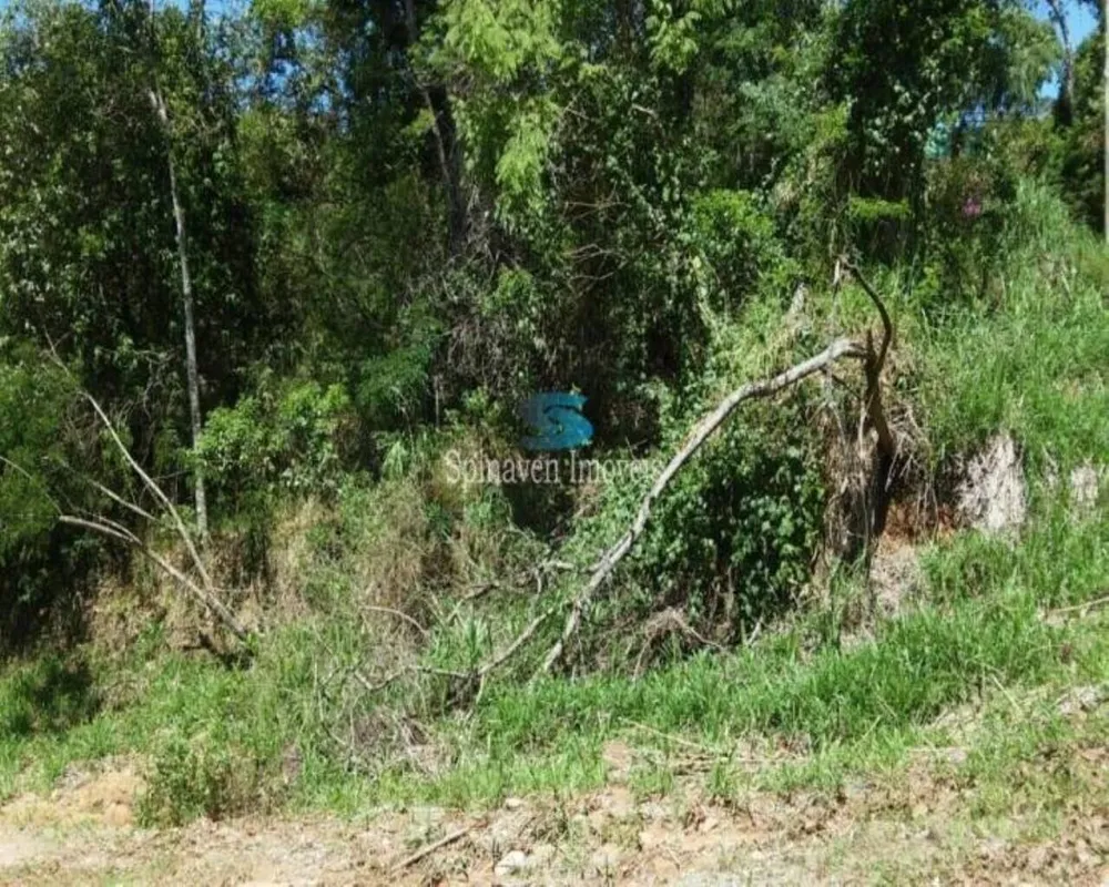 Terreno - Foto 5