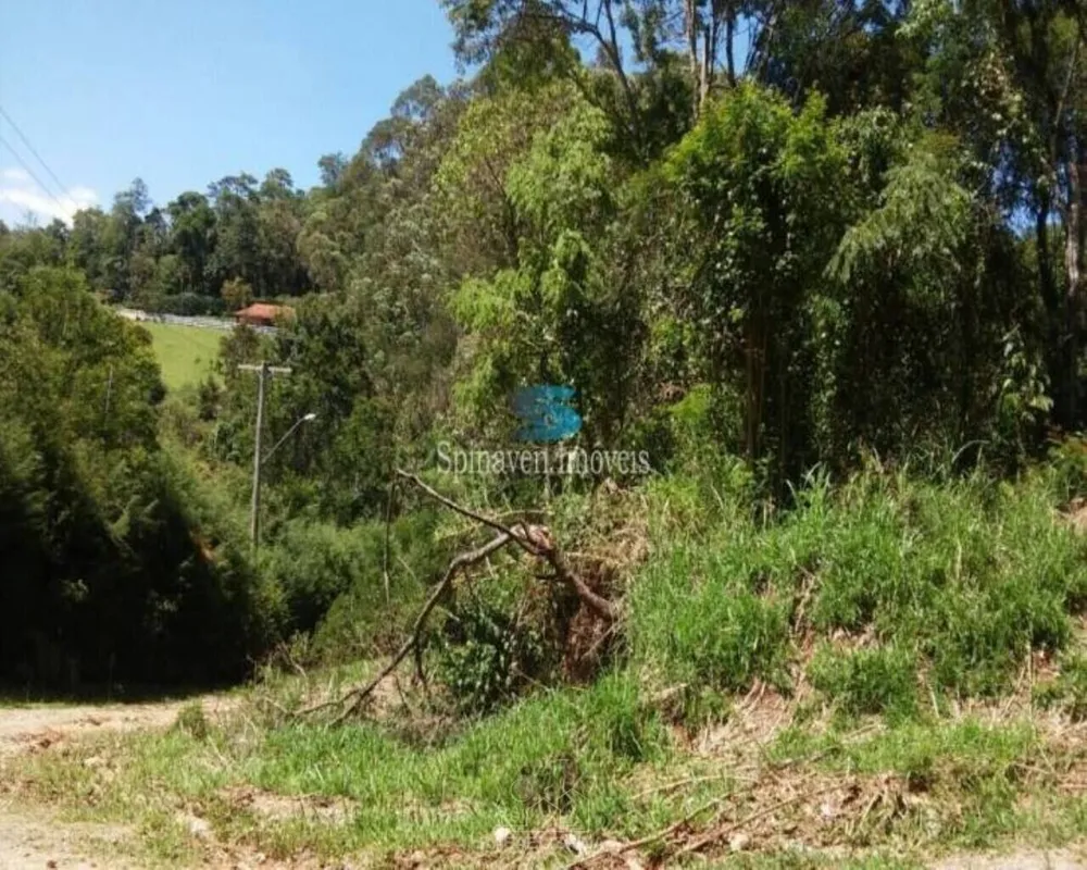 Terreno - Foto 7