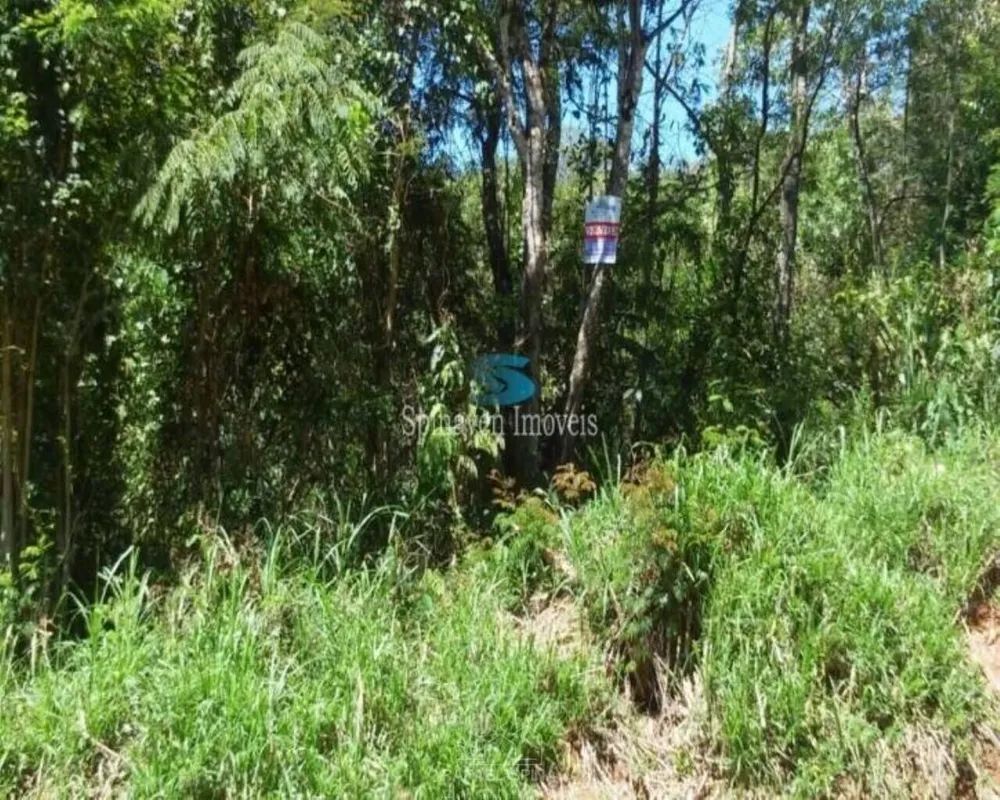 Terreno - Foto 6