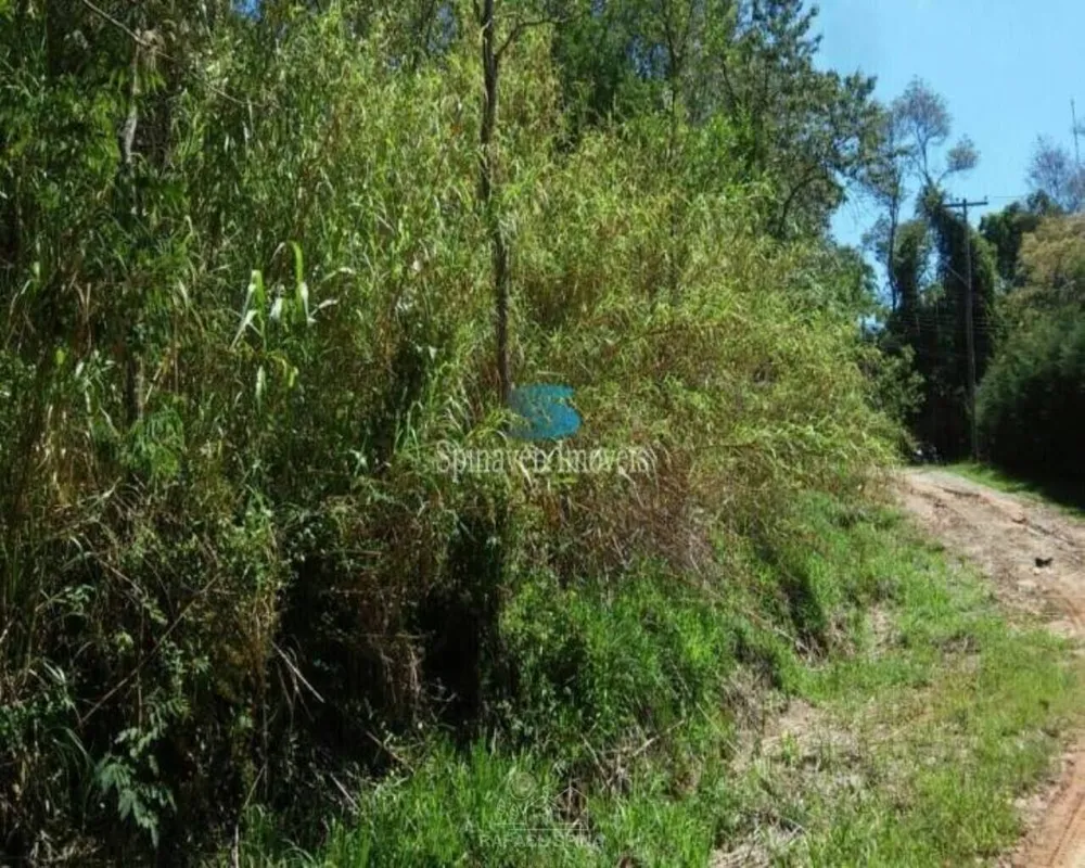 Terreno - Foto 8