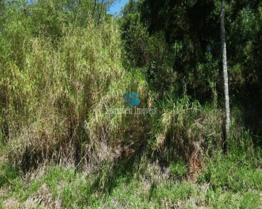 Terreno - Foto 4