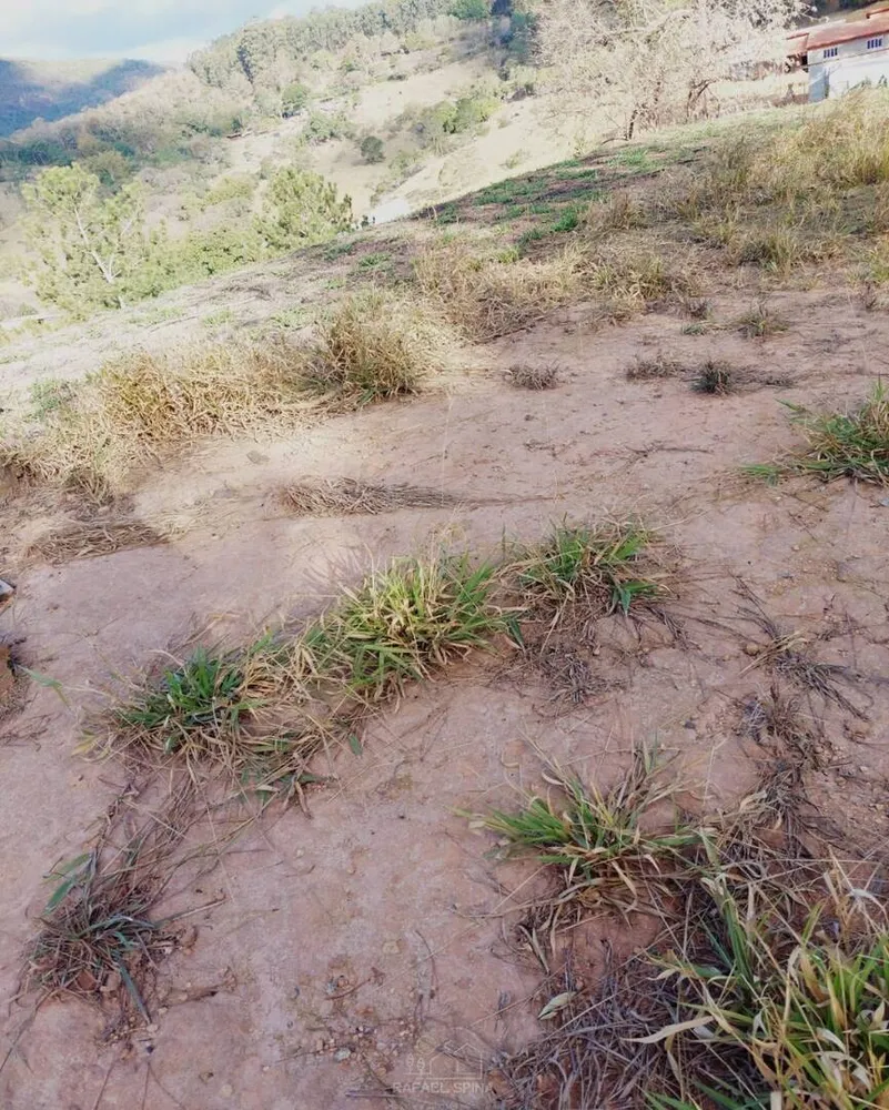 Terreno - Foto 3