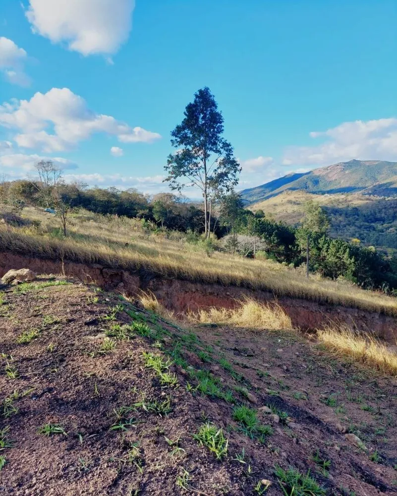 Terreno - Foto 10