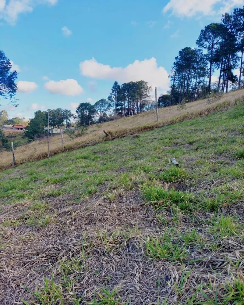 Terreno - Foto 1