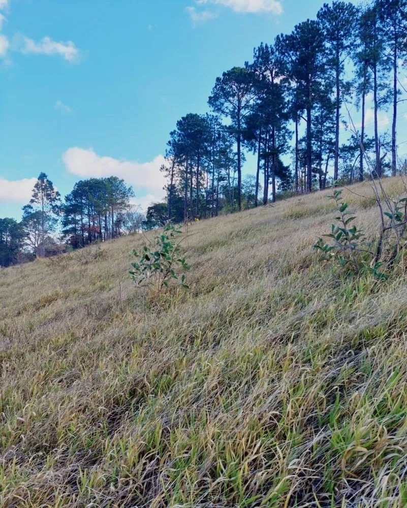 Terreno - Foto 2