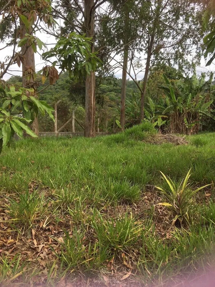 Terreno - Foto 1
