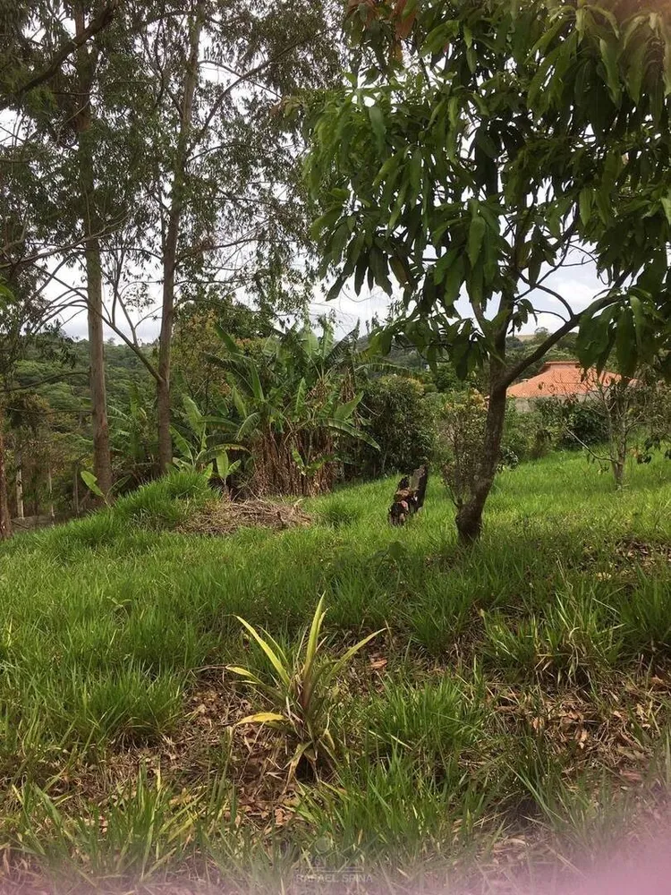 Terreno - Foto 4
