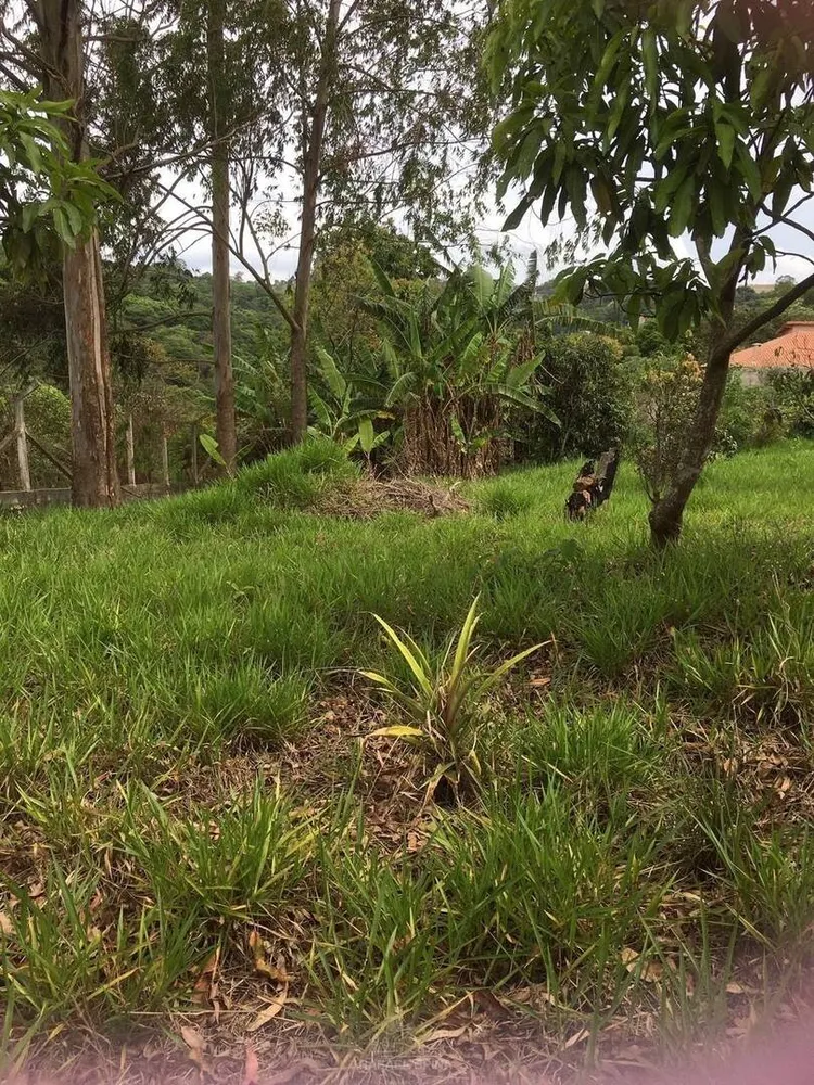 Terreno - Foto 3